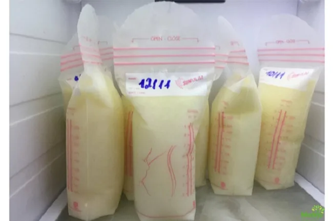 Sữa mẹ vắt ra để được mấy tiếng?