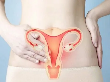 Thụ thai bao lâu thì thai vào tử cung?