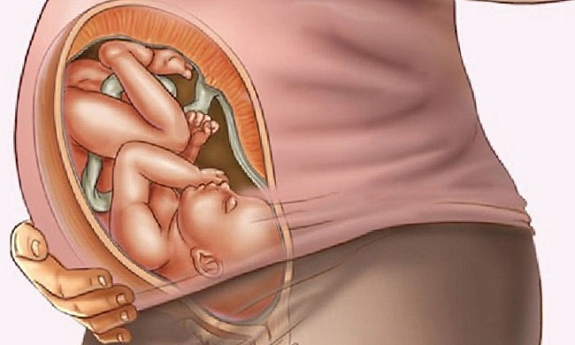 Ngoi Thai Thuan O Tuan 28 Nhu The Nao 1