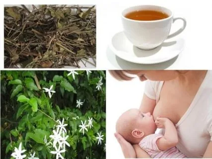 Tac Dung Che Vang 2 427x320 4