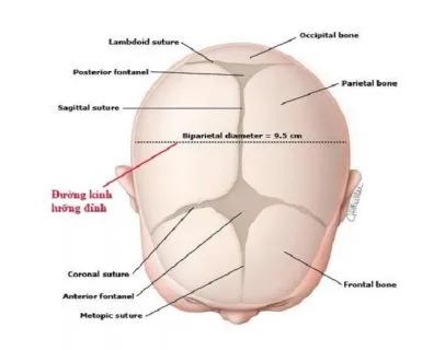Duong Kinh Luong Dinh Bao Nhieu La Binh Thuong 2