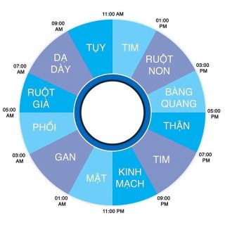 Đồng hồ sinh học